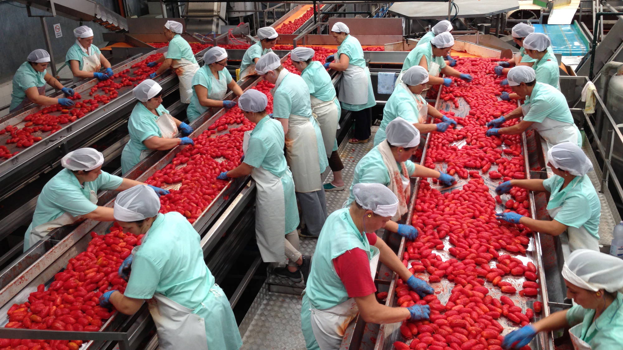 Operai a lavoro