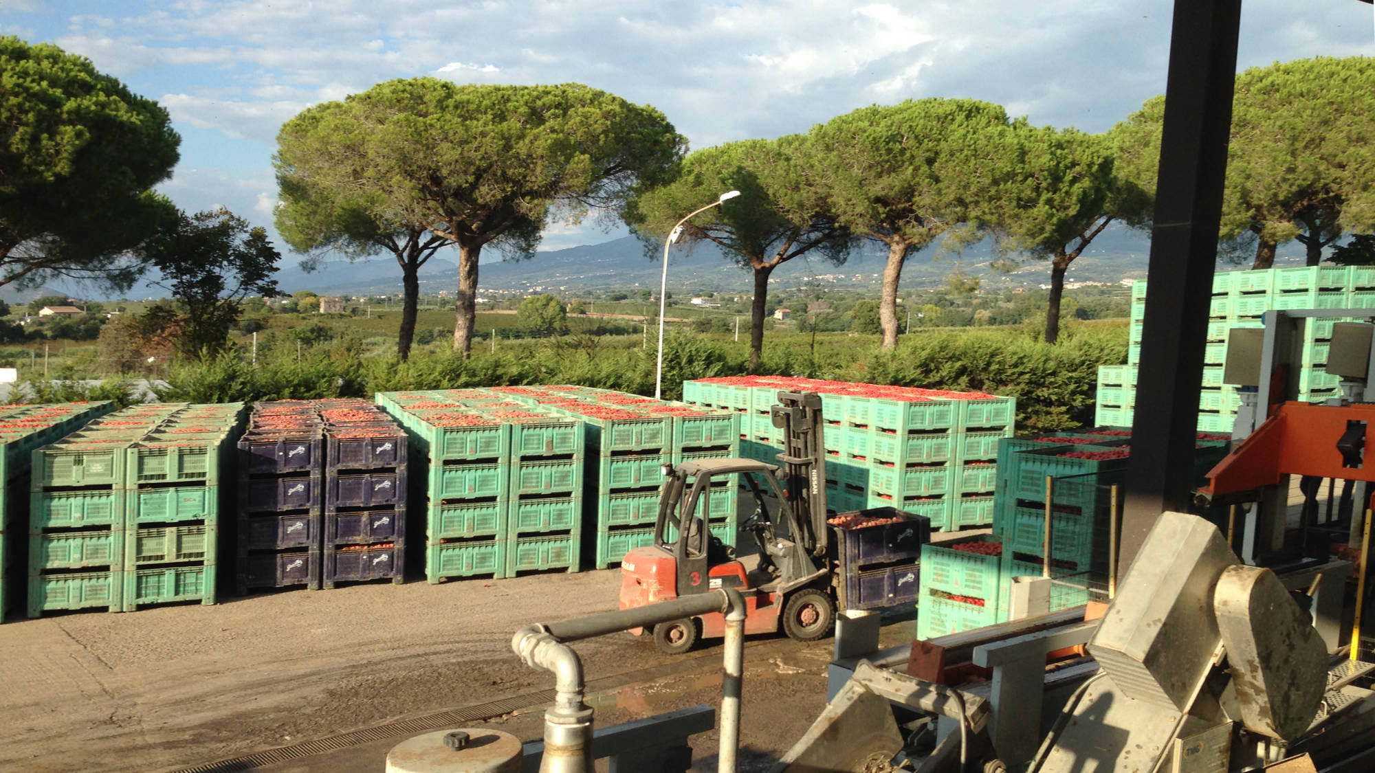 Pomodori in agribox